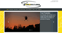 Desktop Screenshot of heliventuresnz.com